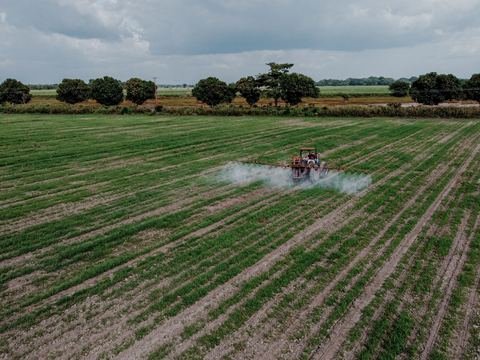 Aerial view of a tractor spraying a green field