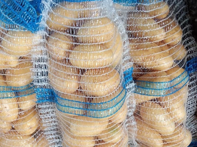 Ardlink potatoes packed in mesh bags