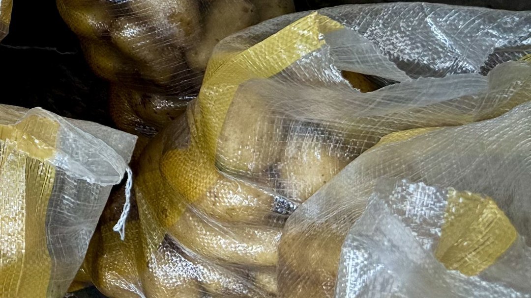 Potatoes packed in bags on our farm