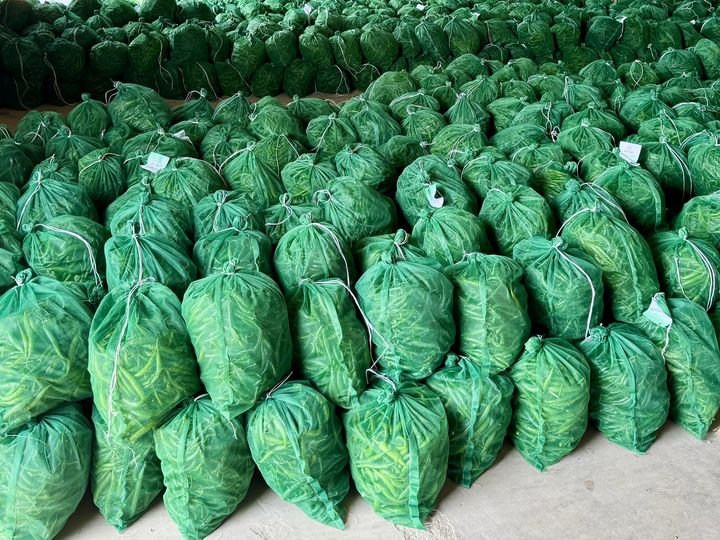 Stacked green mesh sacks of chillies with ARDLINK tags