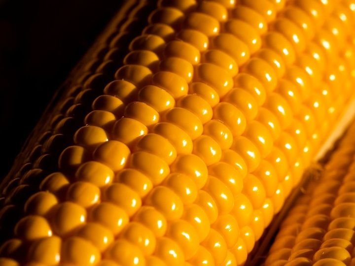 Corn