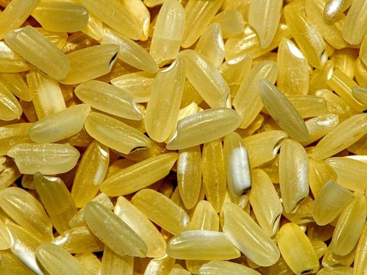 Rice