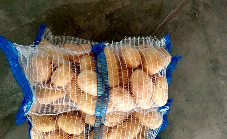Yellow potatoes