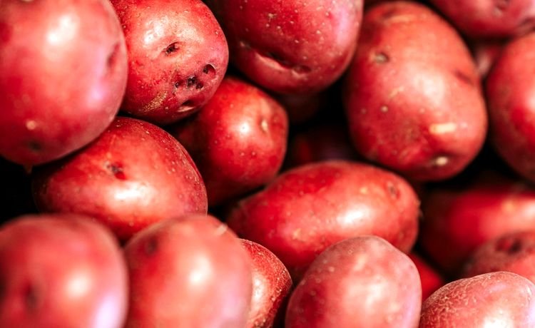Red potatoes