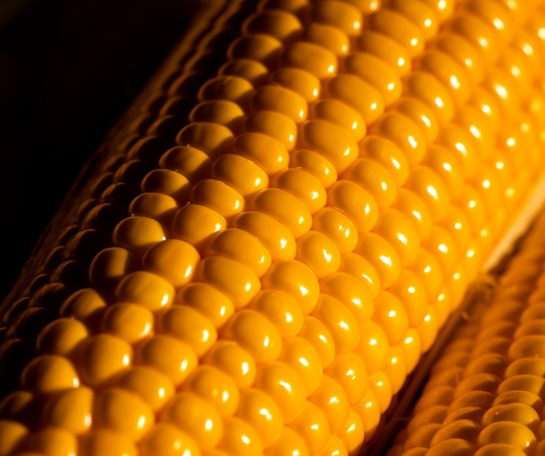 Corn cobs, close-up
