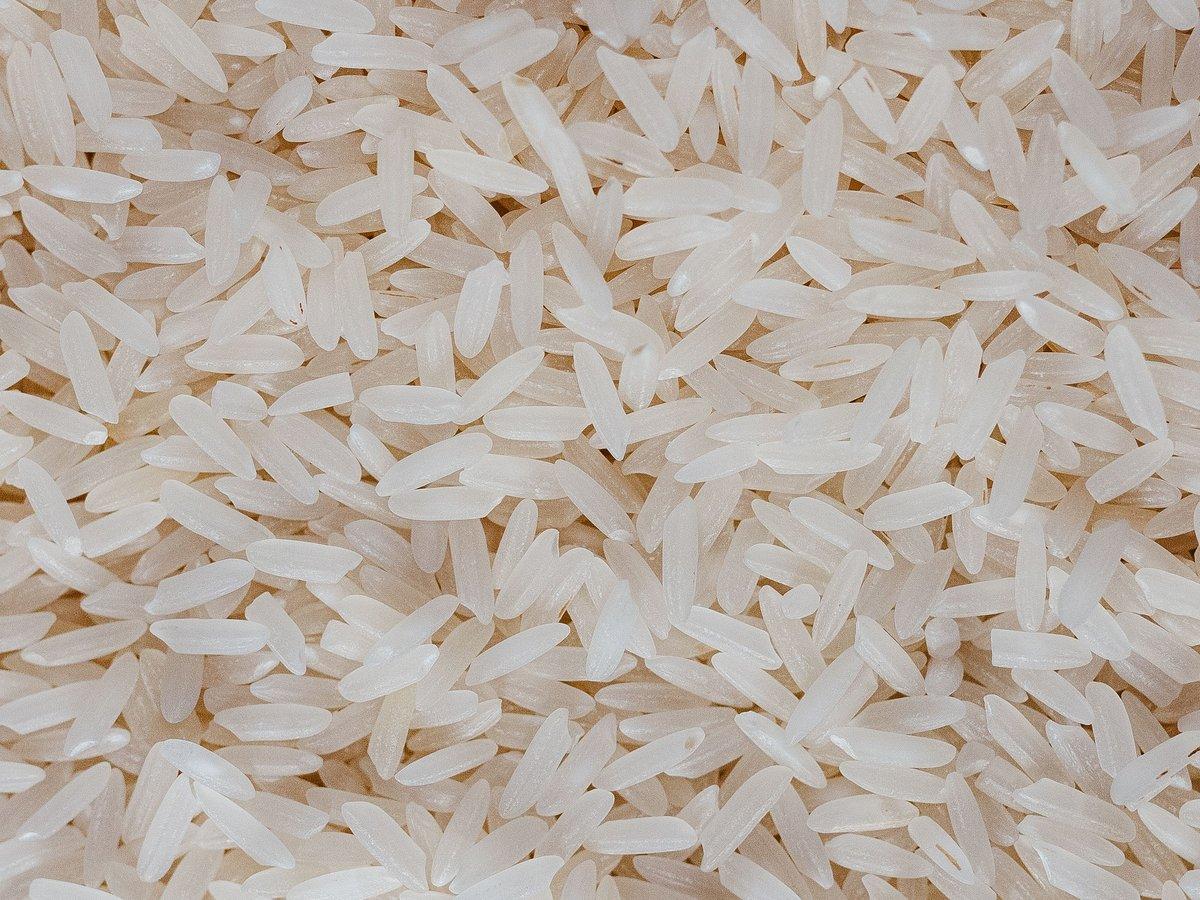 Rice.