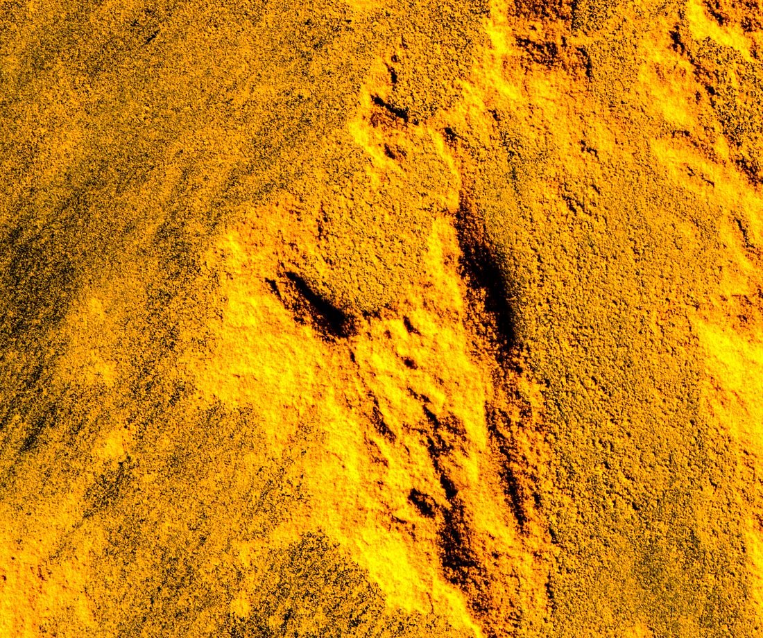 Turmeric powder