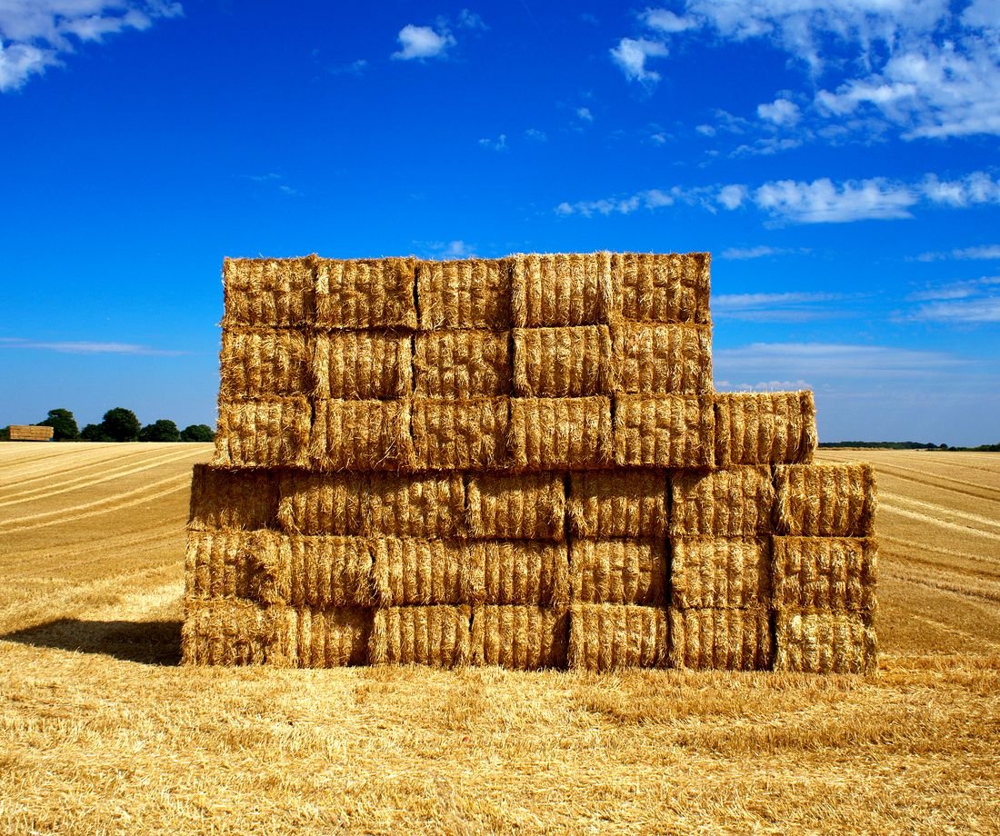 Bale of dried grass hay