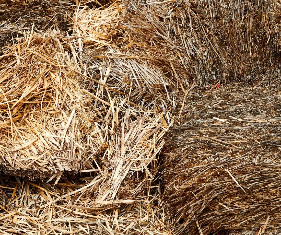 Stacked rectangular hay bales