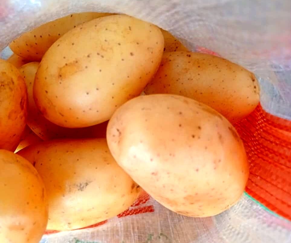 Mesh bags of yellow potatoes