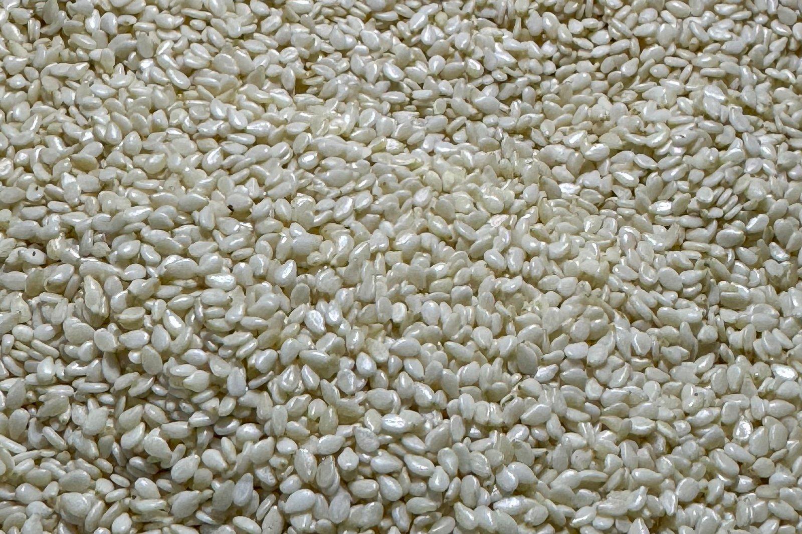 Sesame Seeds
