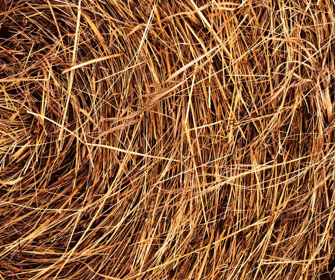 Close-up of baled hay
