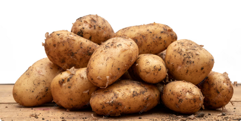 Fresh Export Quality Potatoes