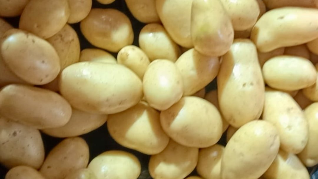 Yellow potatoes from Ardlink's farm